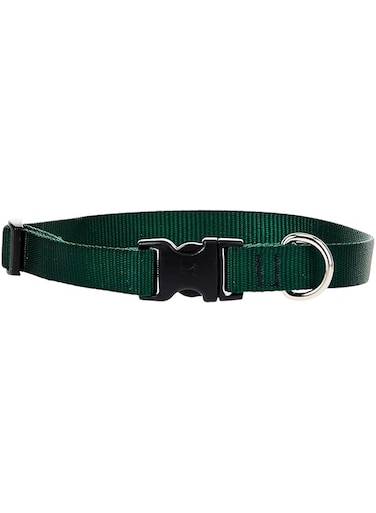 Lupine Dog Collar 13-22, Green, 3/4 Inch