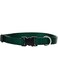 Lupine Dog Collar 13-22, Green, 3/4 Inch