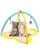 NeoStyle Cat Tent Activity Center with Hanging Balls,Cat Play Mat,Interactive Play Area Station for Cats,Foldable Cat Toy for Indoor Cats,Cat Bed Pad Blanket House(Yellow)