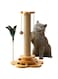 Exrp Cat Scratching Post for Indoor Cats Feather Toy, Interactive Cat Toy 2 Layer Cat Ball Track Turntable with 4 Wooden Balls &amp; 2 Catnip Balls, Kitten Sisal Scratcher Toy Kitty Scratching Posts