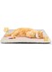 Self Warming Cat Bed, Self Heating Cat Dog Mat, 24 x 18 inch Extra Warm Thermal Pet Pad for Indoor Outdoor Pets with Removable Cover Non-Slip Bottom, Pet Sleeping Blanket Cushion Bed Pad Washable