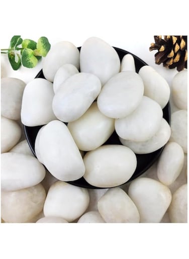 vsell24 5-8cm Extra Large White River Rocks for Landscaping &ndash; Natural Pebbles for Indoor Plants, High Polished Decorative Stones for Garden, DIY, Vase Fillers, Fish Tank, and Aquariums (1 KG)