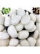 vsell24 5-8cm Extra Large White River Rocks for Landscaping &ndash; Natural Pebbles for Indoor Plants, High Polished Decorative Stones for Garden, DIY, Vase Fillers, Fish Tank, and Aquariums (1 KG)