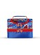 Warner Bros. Superman Man of Tomorrow Lunch Bag 2 Compartment