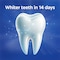 Colgate Advanced Whitening Toothpaste 125ml