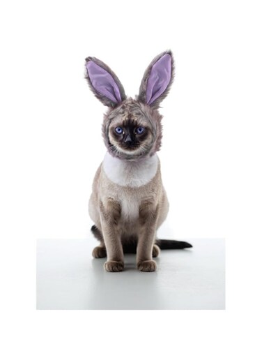 Sweet seven Cute Cat Costume - Gray Rabbit Ears Hat for Cats, Adjustable Headgear for Easter Accessories, Cat Party Costume Wig, Fun and Stylish Cat Accessories