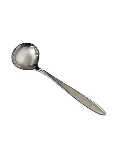 Stainless Steel Soup Ladle Silver