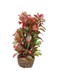Hobby 51533 Flora Stone 4