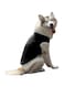 Summer Pet Clothing, Dog Clothes Blank T-Shirts Ribbed Tanks Top Thread Vests for Bulldog Large Medium Small Dogs (Black, S)