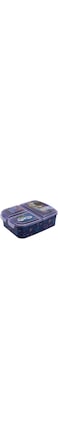 Stor MULTI COMPARTMENT SANDWICH BOX, (74220)
