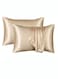 Satin Pillowcase, 2 Pack Silk Satin Pillowcases for Hair and Skin Queen Size Pillow Case with Envelope Closure