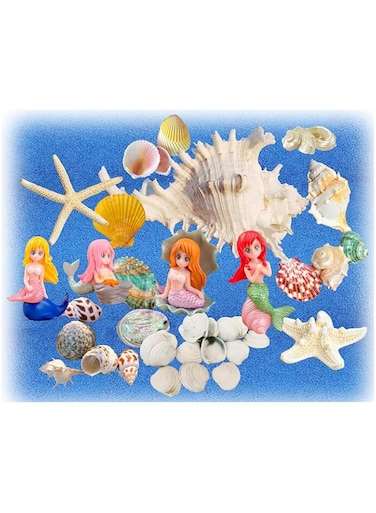 aoliiHou Mixed conch starfish, Mermaid aquarium decorations, beach-themed party wedding decorations, candle making, DIY crafts, home decor