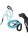 PETSARY 6.5FT Long Reflective Rope Slip Leash with Padded Handle - Extremely Strong Heavy Duty Sturdy Design - Puppy Obedience Recall Training Lead - Walking Running Climbing for Medium Large - Blue