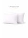 Cushion Filler Set of 2, 40x60 cm &acirc;&euro;&ldquo; Rectangular Lumbar Cushion Inserts, Hollow Siliconized Polyester Fiber Filling, Soft &amp; Supportive Non-Woven Cover, White Polyester White 40x60cm
