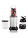 NutriPro Juicer Mixer Grinder - Smoothie Maker, Juice Maker - 500 Watts (2 Jars, Silver)ABS