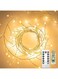 Clearhill 2Pack USB Fairy Lights with Remote Control, 10ft/3M 100LED Warm Firecracker Cluster Lights, 8 Modes, Waterproof Copper Wire String Lights for Bedroom, Wedding, DIY Wreath, Garden Decor