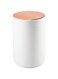 mDesign Small Round Plastic Trash Can Wastebasket, Garbage Container Bin with Swing Top Lid - for Bathrooms, Kitchens, Home Offices - 1.3 Gallon/5 Liter - White/Rose Gold