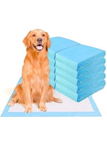 Premium Puppy Pads for Dogs   60 x 60 cm Disposable Pee Pads   Ultra Absorbent Changing Mat for Baby &amp; Pets   Incontinence Bed Mats   Waterproof Baby Changing Pad   40-Pack (40, 60 x 60 cm)