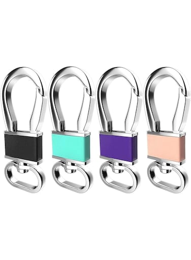KASTWAVE 4 Pack Metal Carabiner Keychain Key Clip Hook, Key Rings Key Chain Ring Holder Organizer for Car Key Finder
