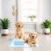 50PC of Disposable Absorbent Quick Drying Leak-Proof Pee Pads, Disposable Training Pads For Pets with 5 Highly Absorbent Layers, Puppy Pads For Potty Training For Pets