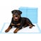 50PC of Disposable Absorbent Quick Drying Leak-Proof Pee Pads, Disposable Training Pads For Pets with 5 Highly Absorbent Layers, Puppy Pads For Potty Training For Pets