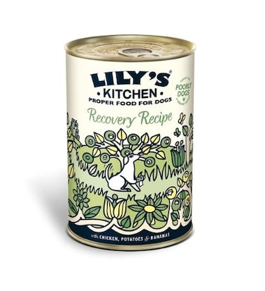 Lily's Kitchen Recovery Recipe Wet Dog Food 400G
