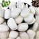 Vsell24&trade; White Stones 5-8 cm - Large Decorative Rocks for Landscaping, DIY, and Aquariums 2 KG