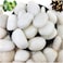 Vsell24&trade; White Stones 5-8 cm - Large Decorative Rocks for Landscaping, DIY, and Aquariums 5 KG