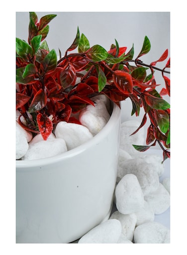 Vsell24&trade; White Stones 3-5 cm - Large Decorative Stones for Pathways, Gardens, and Vase Fillers 20 KG