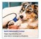 Vsell24 2 Pcs Pet Tourniquet for Dogs &amp; Cats, Quick Release Buckle, Elastic Emergency First Aid Band, Adjustable Pet Wound Control Strap, Blue