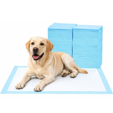 50PC of Disposable Absorbent Quick Drying Leak-Proof Pee Pads, Disposable Training Pads For Pets with 5 Highly Absorbent Layers, Puppy Pads For Potty Training For Pets