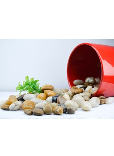 Vsell24&trade; Indian Stones 2-4 cm - Decorative Rocks for Pathways, Landscaping, and Aquariums 10 KG