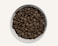Canagan Scottish Salmon Dry Dog Food 12 KG