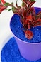 Vsell24&trade; Blue Sand - Decorative Sand for Aquariums, Gardens, and DIY Craft Projects 2 KG