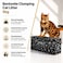 Bentonite Clumping Cat Litter 5kg &ndash; Strong Odor Control, Fast Absorbent, Low Dust Cat Litter for Multi-Cat Use