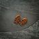 Canagan Softies Grain-Free Salmon Cat Treats 50g