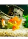Vsell24&trade; Gold Sand - Decorative Sand for Gardens, Aquariums, and Craft Projects 5 KG