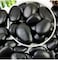 Vsell24&trade; Black Stones 5-8 cm - Large Decorative Rocks for Landscaping, DIY, and Aquariums 10 KG