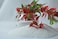 Vsell24&trade; White Sand - Decorative Sand for Aquariums, Gardens, and DIY Craft Projects 10 KG