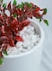 Vsell24&trade; White Stones 10-12 mm - Decorative Pebbles for Landscaping, Vase Fillers, and Aquariums 2 KG