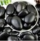 Vsell24&trade; Black Stones 5-8 cm - Large Decorative Rocks for Landscaping, DIY, and Aquariums 5 KG