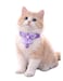 Adjustable Purple Cat Collar (22&times;30 cm) &ndash; Soft, Durable &amp; Comfortable Lightweight Pet Collar for Cats