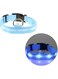 Lighted Collar Pet Collar with LED Light Night Safety Pet Collar Evening Hike Pet Collar Adjustable Pet Collar Dog Collar Pet Collars Flashing Pet Collar Circular