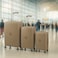 ELITE 3-Piece Hard-Shell Luggage Set (20/24/28) &ndash; Lightweight Spinner Suitcase &ndash; Beige Gold