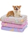 Dono 1 Pack 3 Blankets Soft Fluffy Cute Bone Pattern Fleece Pet Blanket Warm Sleep Mat Cute Print Design Puppy Kitten Blanket Doggy Mat Paw Print for Animals