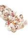 Khazna Small Shell Decoration Handmade Materials, Tiny Sea Shells, Mixed Beach Seashells, Natural Seashells for Diy Craft Home Decor Vase Fillers (3-4cm Fan Shape Seasells, 220g)
