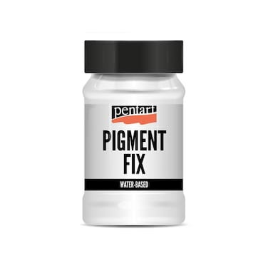 PIGMENT FIX 100ML