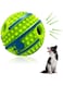 Caroyee Ball for Dogs 3.94in Teeth Cleaning Dog Toy Ball Interactive Dog Ball Giggle Sounds When Shake or Roll for Playing Training for Medium Large Dogs Gift