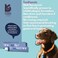 Kyron Pet Dent Malt-Flavored Toothpaste for Dogs &amp; Cats - Natural Antibacterial Oral Care, Freshens Breath &amp; Prevents Gum Disease 60g