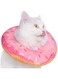 LIENJAER Adjustable Cat Recovery Collar, Cute Cat Donut Collar, Soft Cone Collars for Cat, Wound Healing Protective Cone After Surgery Elizabethan Collars for Kitten Pets (Pink, medium)